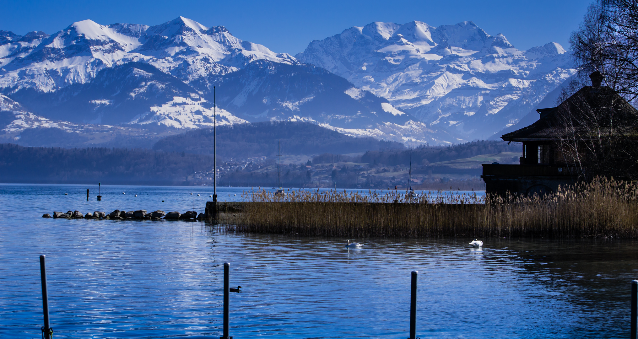 Thunersee Foto & Bild landschaft, bach, fluss & see, see, teich