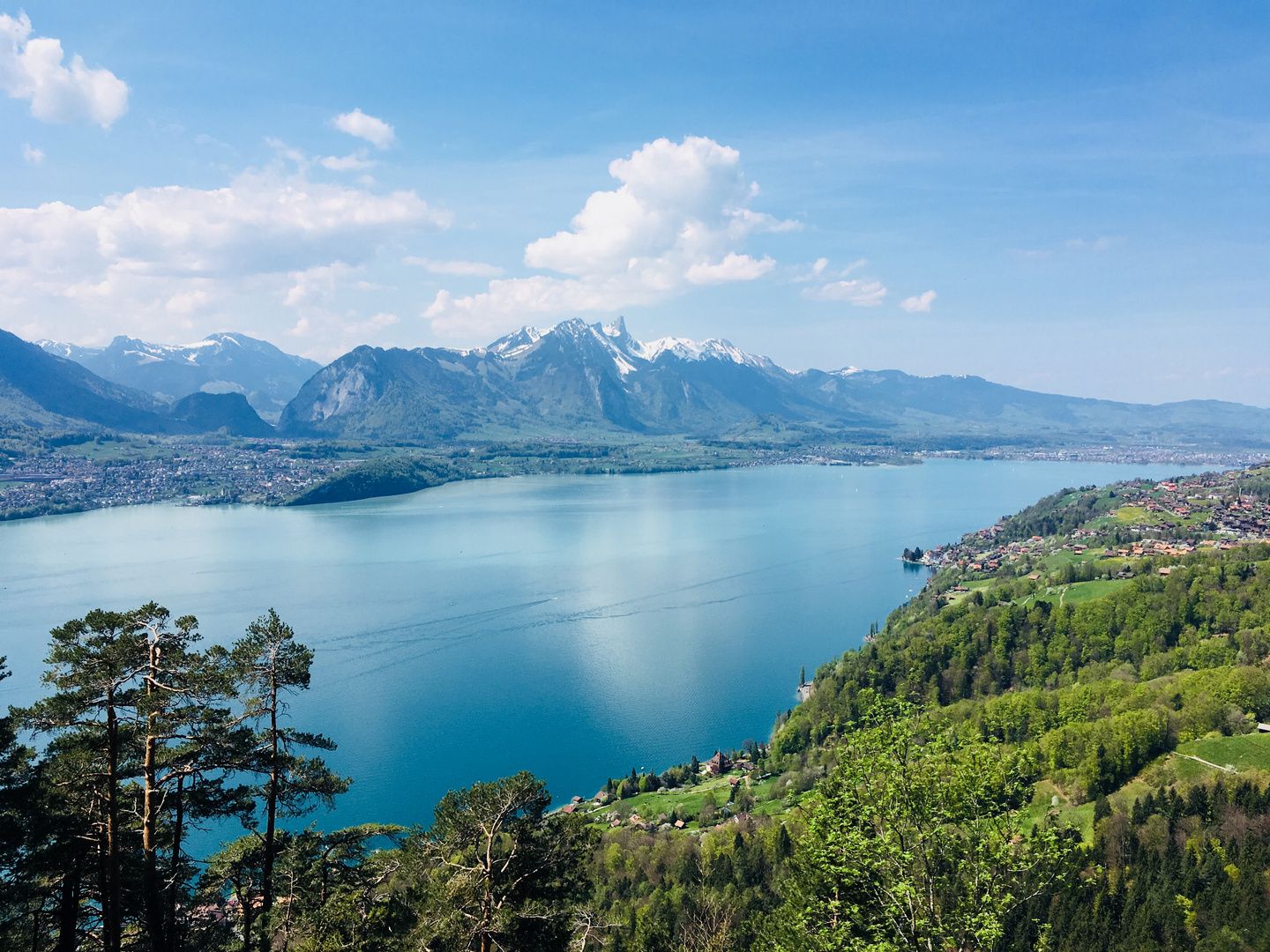 Thunersee Foto & Bild landschaft, bach, fluss & see, see, teich