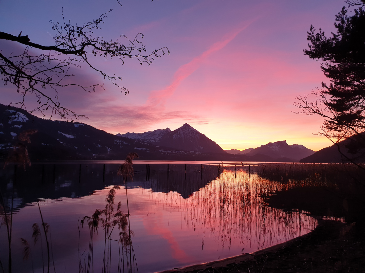 Thunersee Foto & Bild landschaft, bach, fluss & see, see, teich