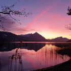 Thunersee