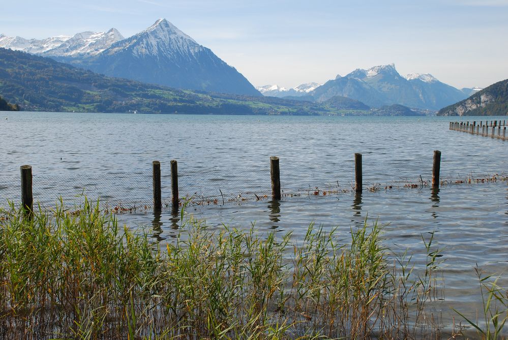 Thunersee im Frühling im Berner Oberland/Schweiz Foto & Bild