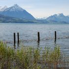 Thunersee im Frühling im Berner Oberland/Schweiz