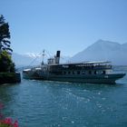 Thunersee im Sommer