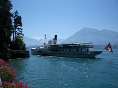 Thunersee im Sommer