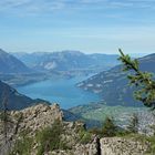 Thunersee mit Interlaken