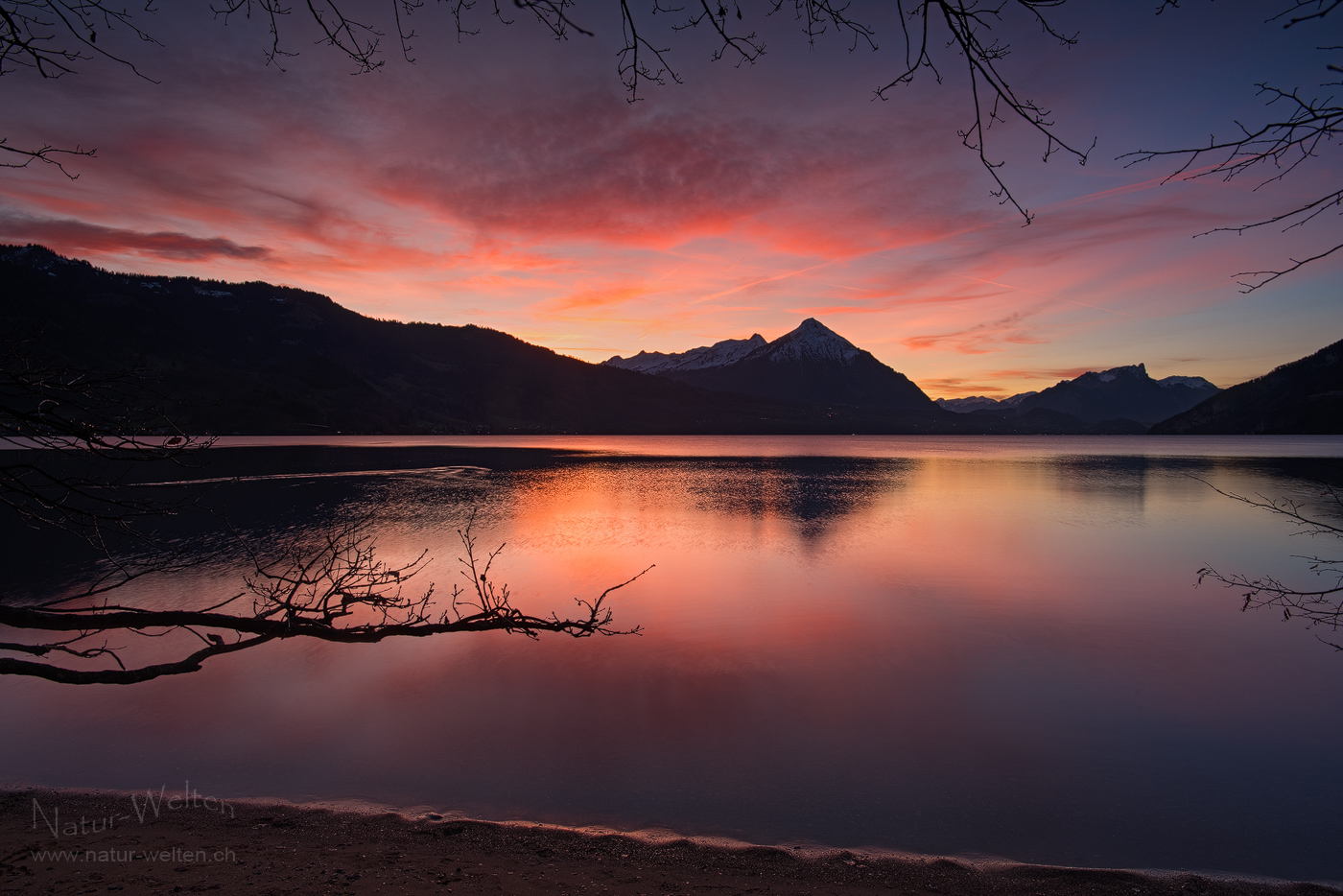 Thunersee Naturspektakel