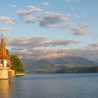 Thunersee Panorama