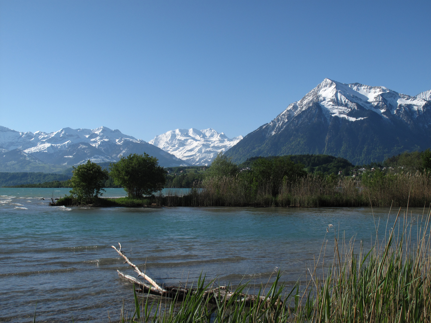 Thunersee und Berner Alpen