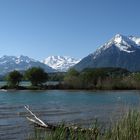 Thunersee und Berner Alpen