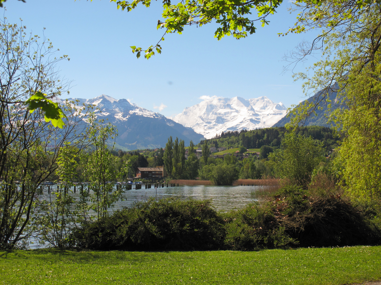 Thunersee und Blümlisalp