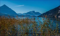 Thunersee / Weissenau