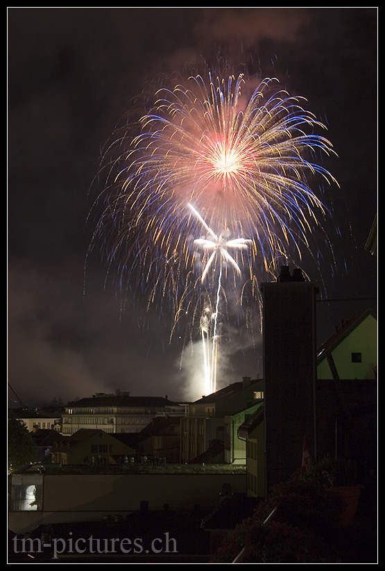 Thunfest 2008