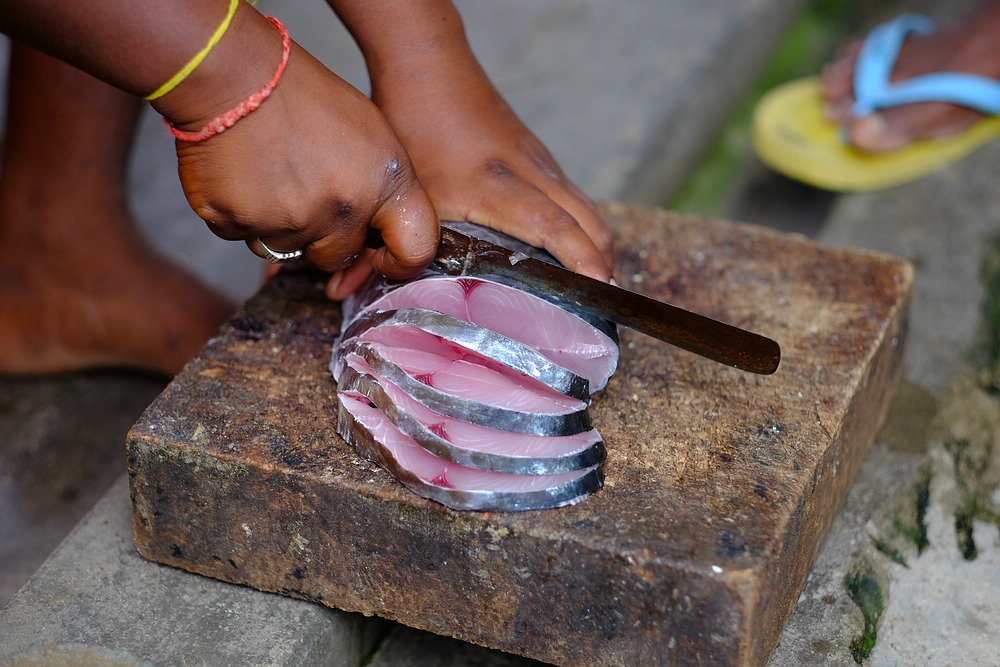 Thunfisch in Tamil Nadu