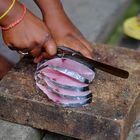 Thunfisch in Tamil Nadu