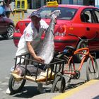 Thunfisch Transport mit einem Fahrrad.., Quepos, Costa Rica