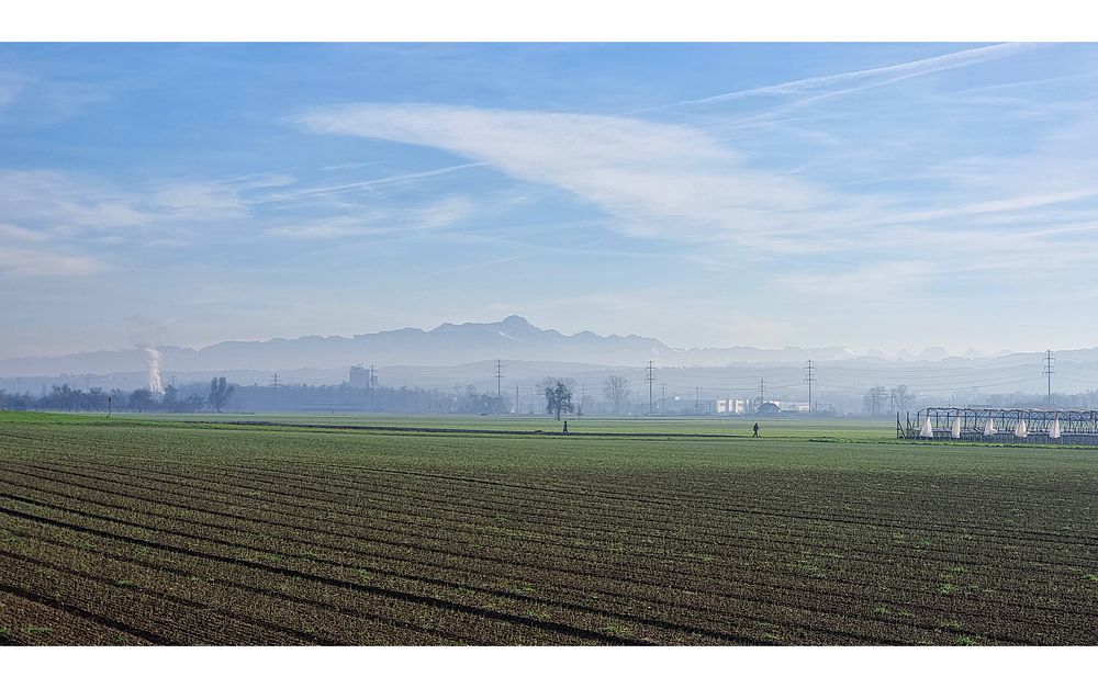 Thurebene: Das Säntismassiv lässt grüssen.