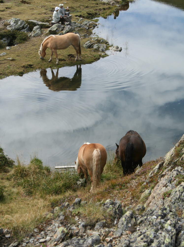 Thurntaler See