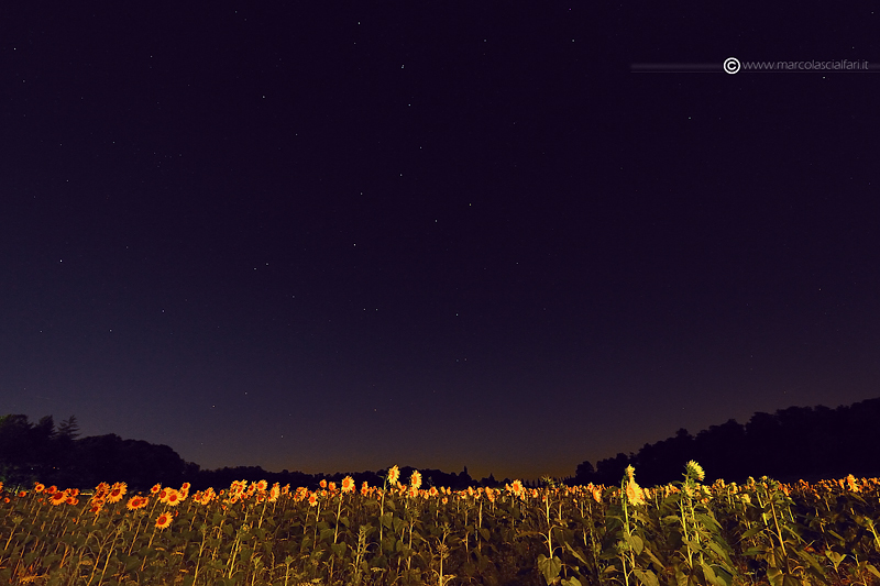 Ti sei mai preso una serata sotto le stelle?! ...... mancava solo lei!!!