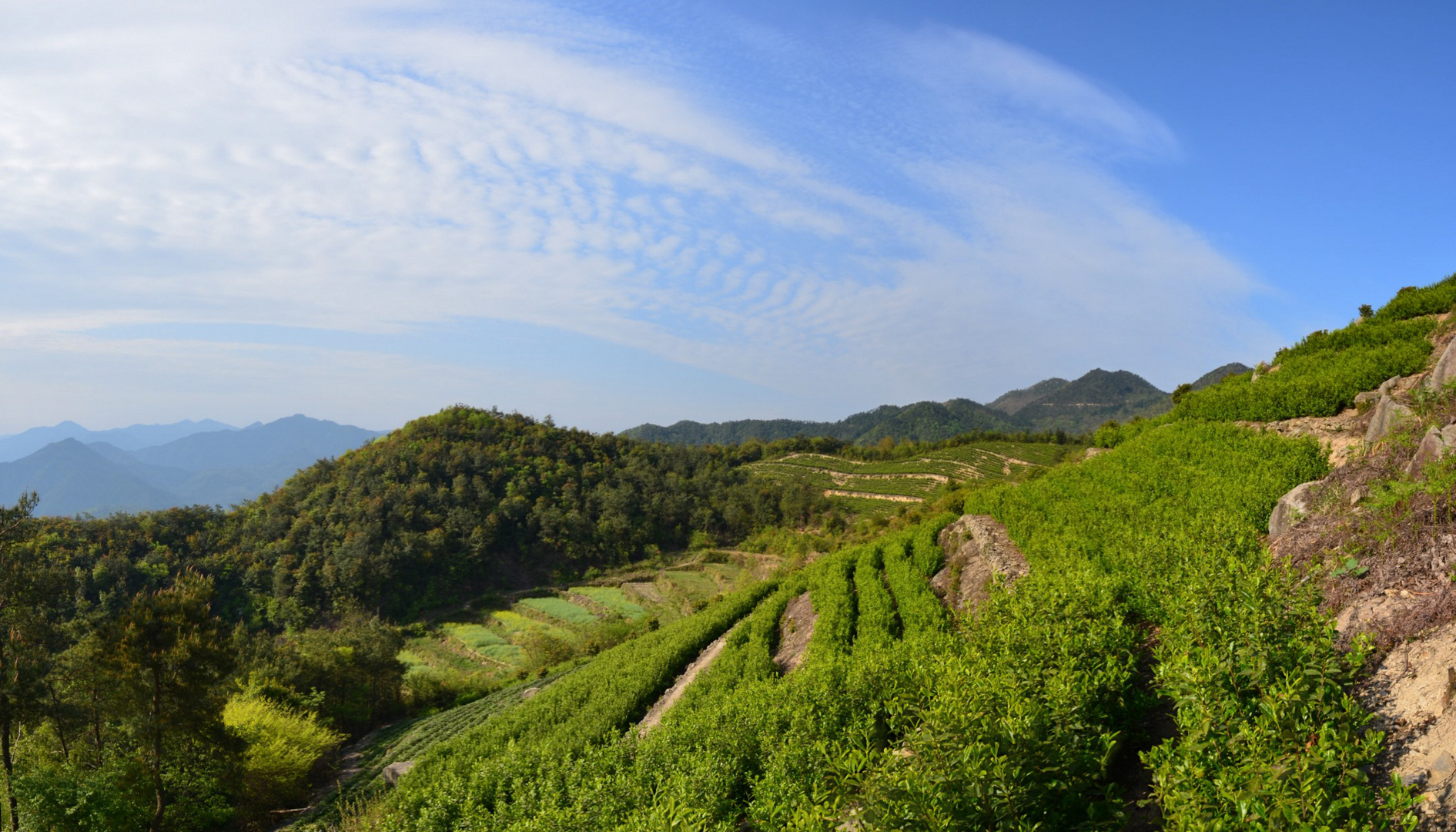 Tiantai Teegarten