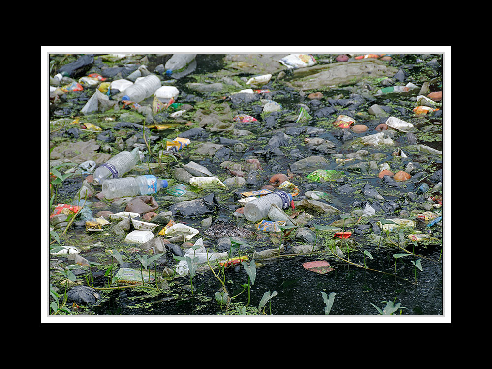 Tibet 2010 009