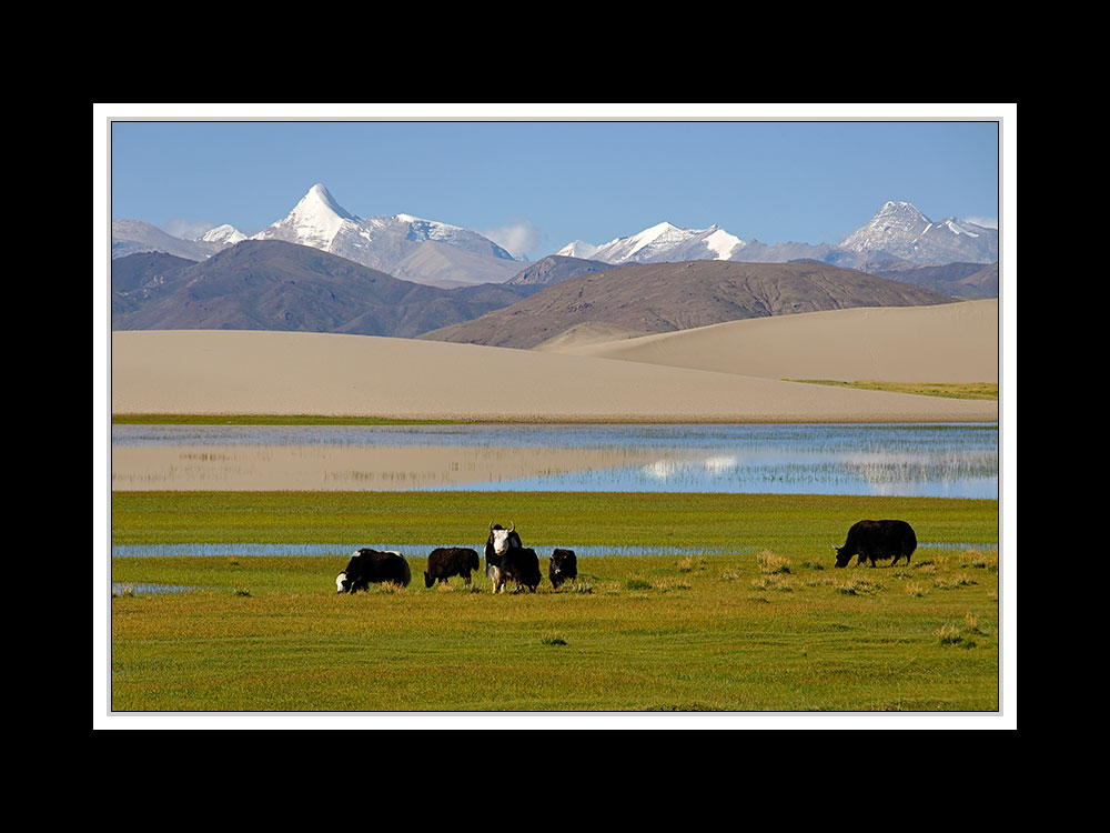 Tibet 2010 045