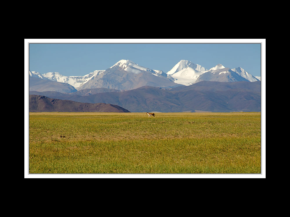 Tibet 2010 055