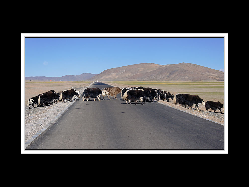 Tibet 2010 056