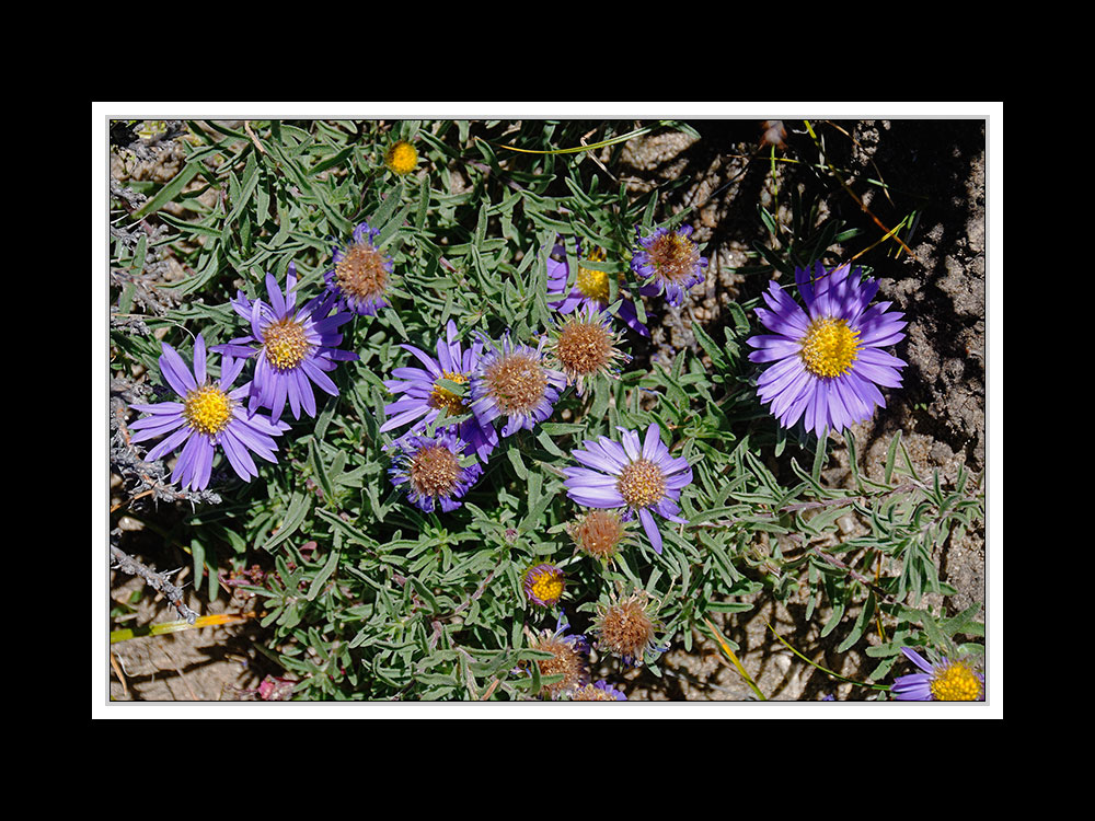 Tibet 2010 062