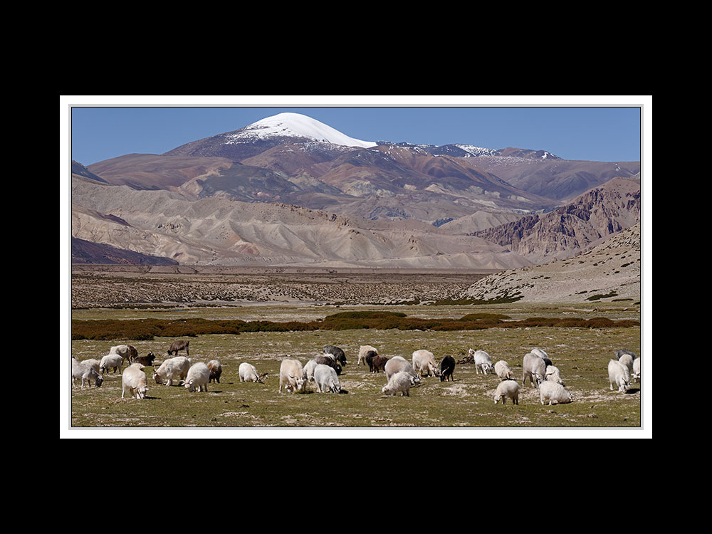 Tibet 2010 075