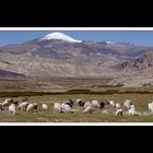 Tibet 2010 075