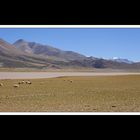 Tibet 2010 099