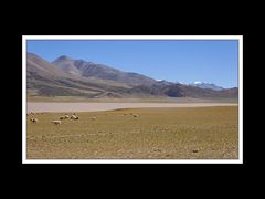 Tibet 2010 099