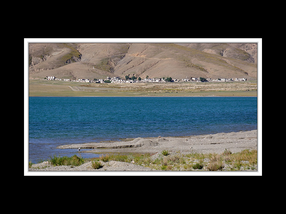 Tibet 2010 112