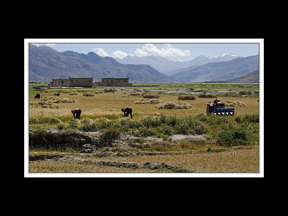 Tibet 2010 114