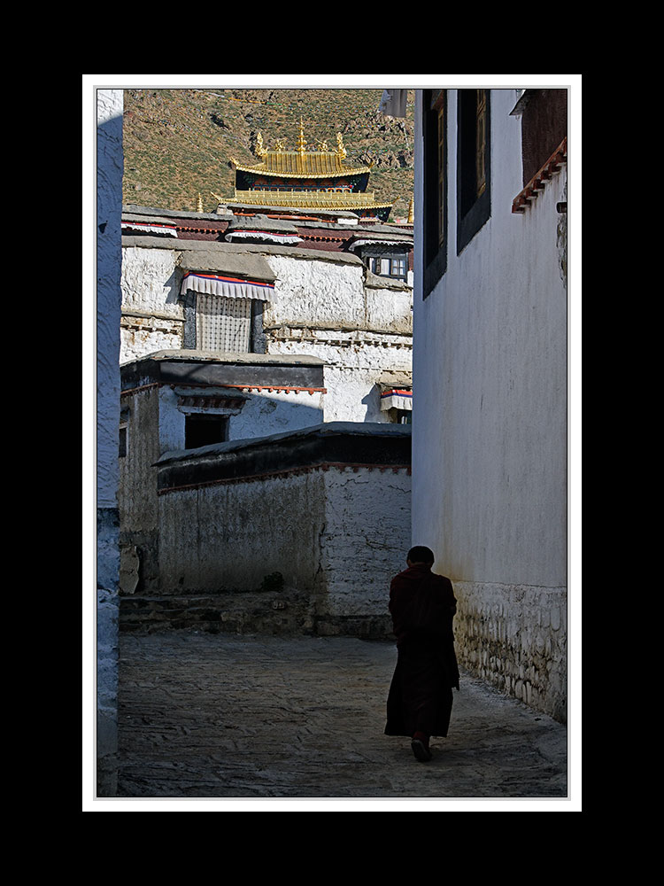Tibet 2010 158