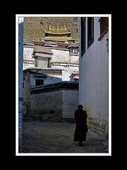 Tibet 2010 158