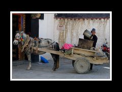 Tibet 2010 171