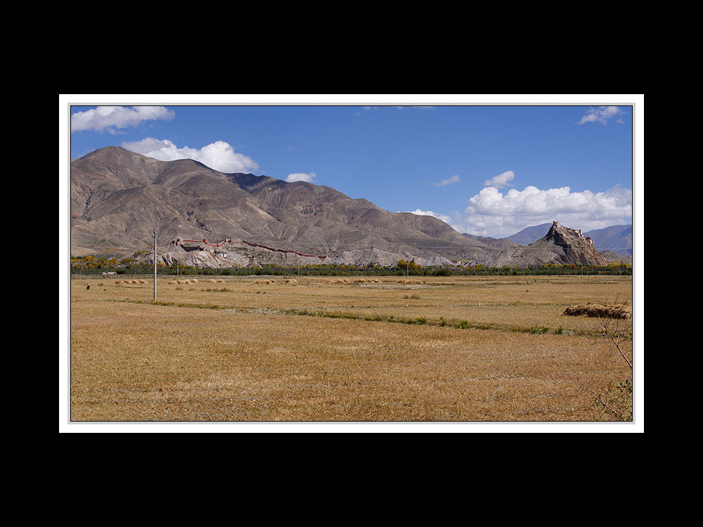 Tibet 2010 173