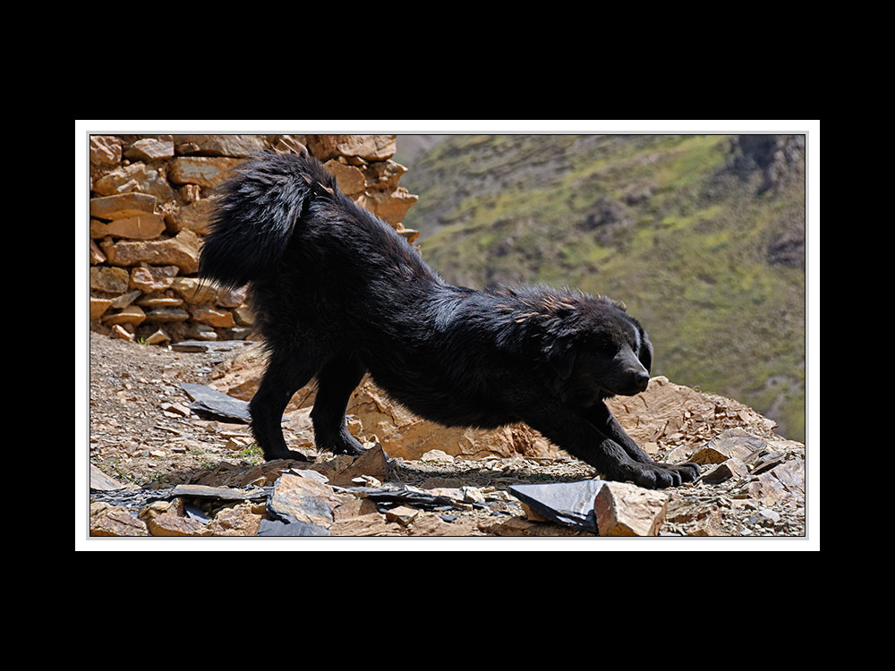 Tibet 2010 177