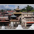 Tibet 2010 254