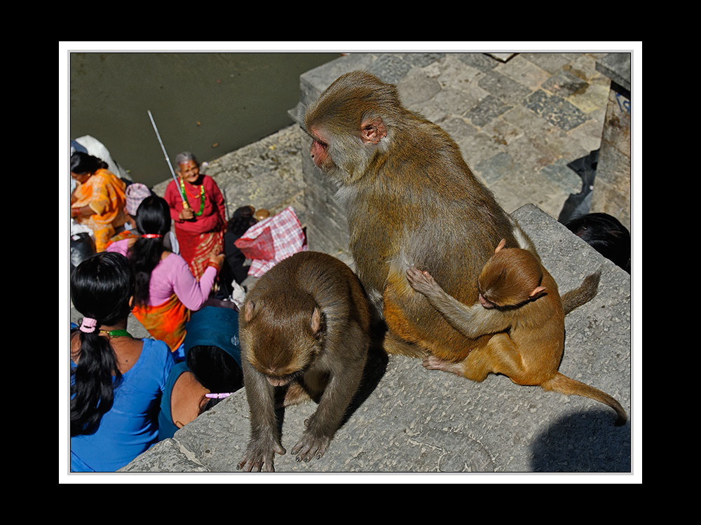 Tibet 2010 257