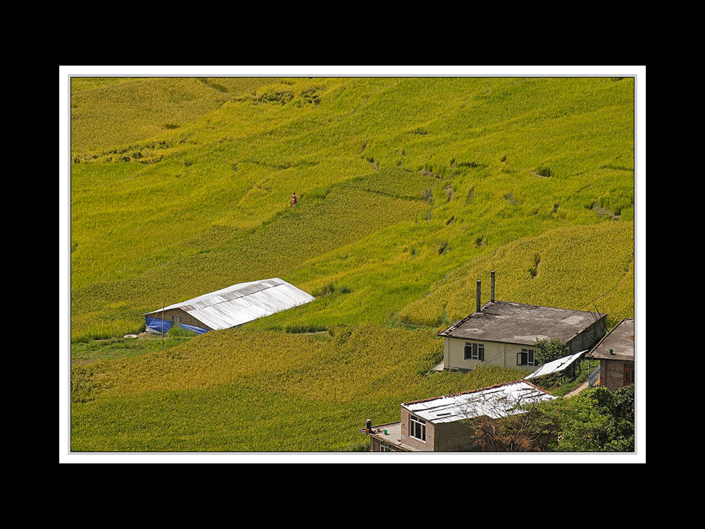 Tibet 2010 285