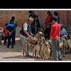 Tibet 2010 295