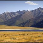 Tibet, 4600müM