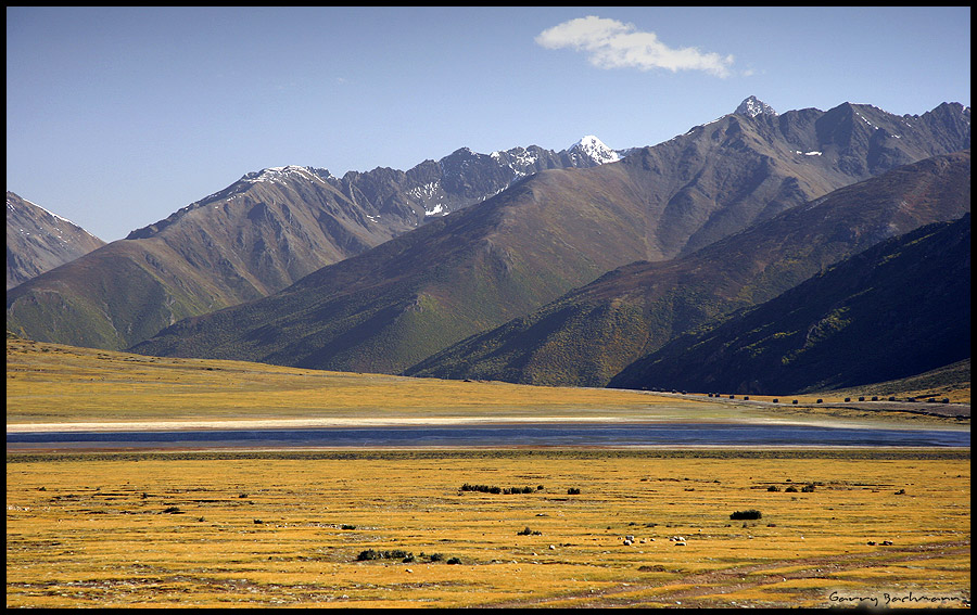 Tibet, 4600müM