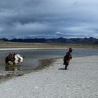 Tibet (47)