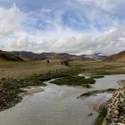 Tibet (49)