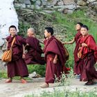 Tibet (73)