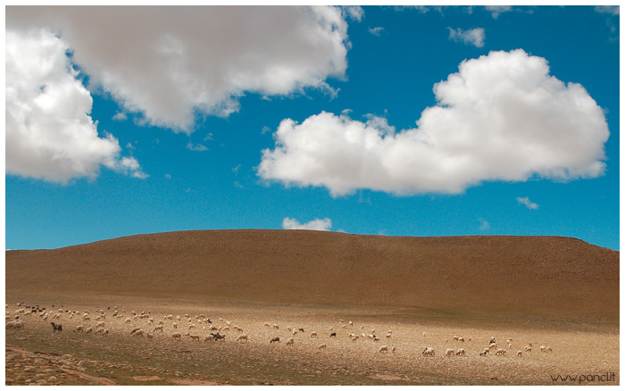 Tibet