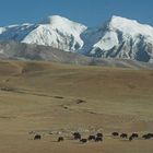 Tibet - Fahrt mit der "Tibetbahn"